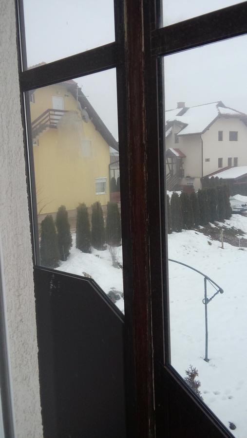 Apartman Selakovic Zlatibor Exterior photo